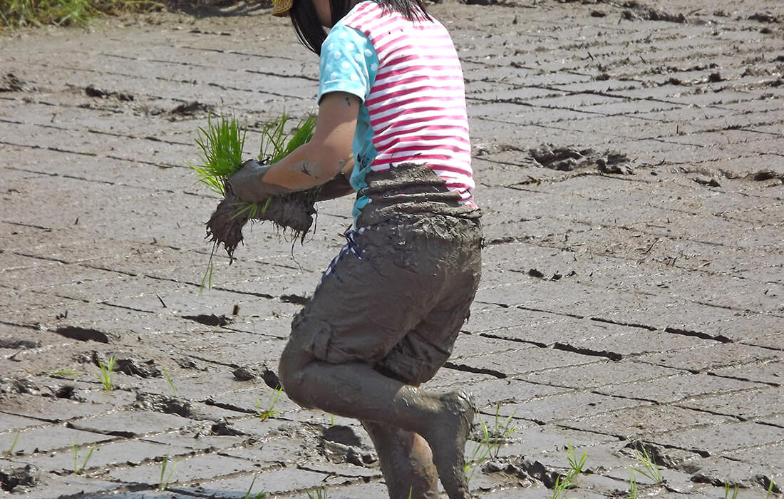 泥んこになりながらも田植えに夢中