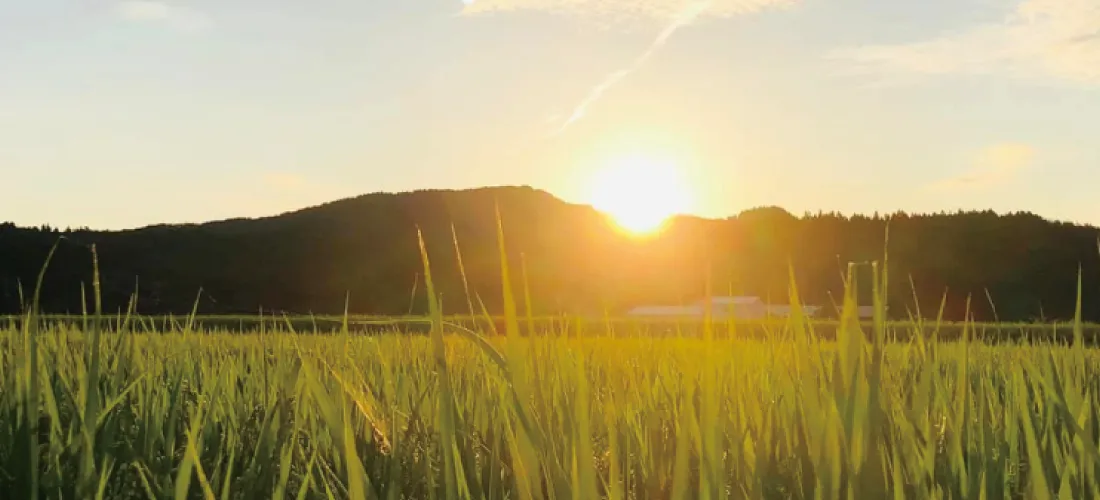 おいしい！をつくる、環境・風土。