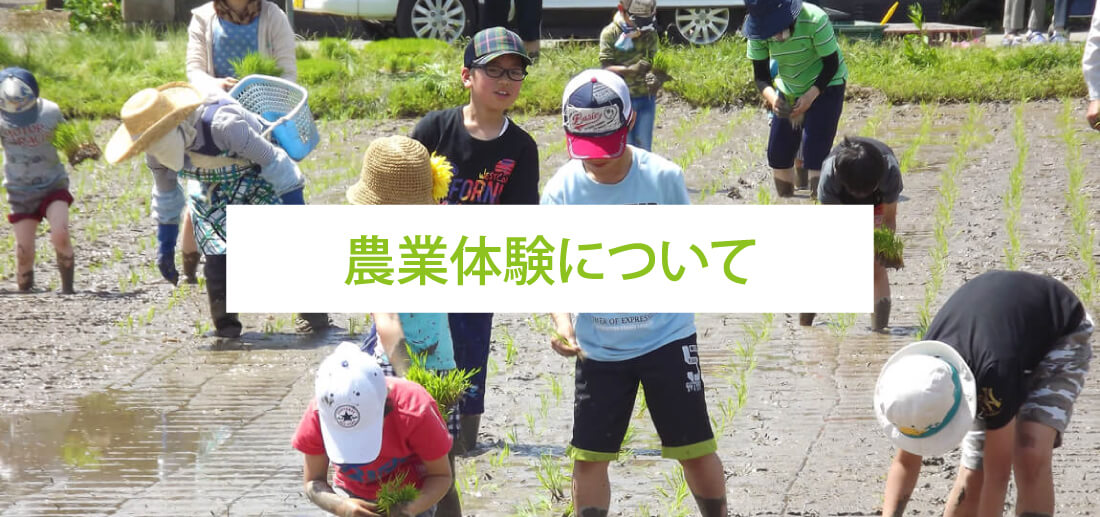 農業体験について