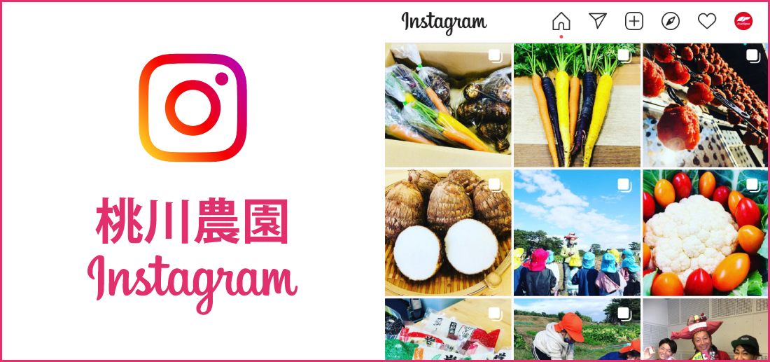 桃川Instagram