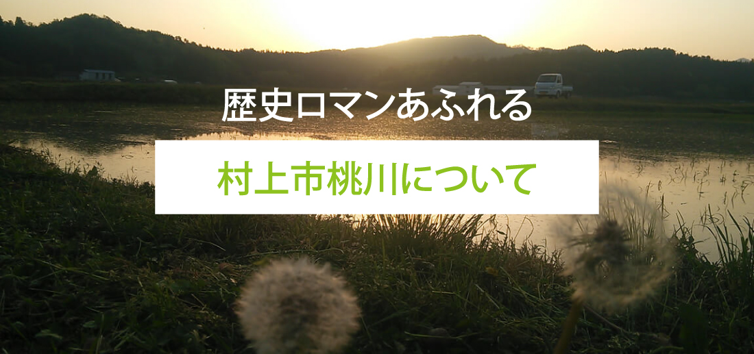 村上市桃川について