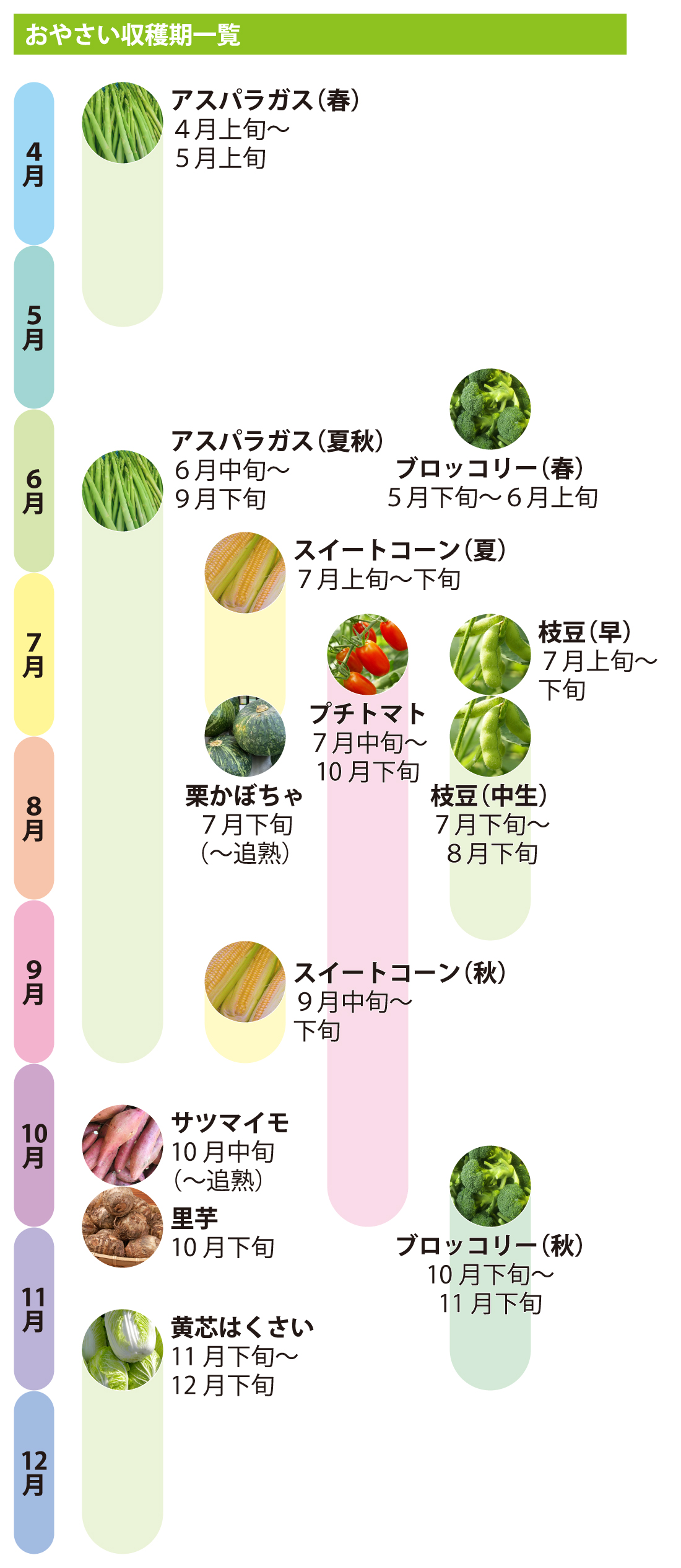 おやさい収穫期一覧